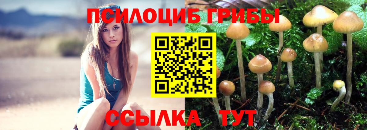 Псилоцибиновые грибы мухоморы Удомля