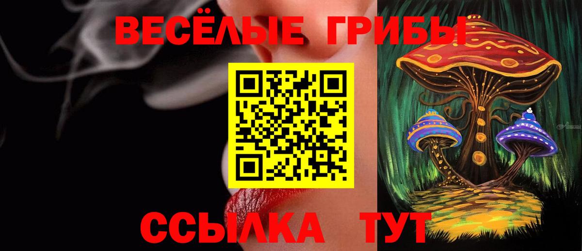 Удомля  Галлюциногенные грибы прущие грибы  как найти закладки  Вход с VPN 